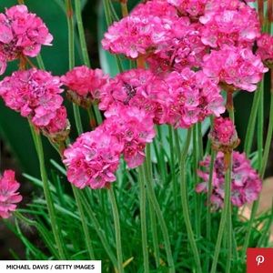 Meet your Posher, Katelyn